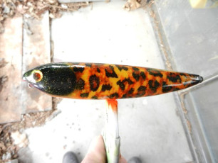 882BCE89-FB06-4F04-9309-28A673766ACC