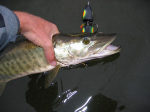 882f24c9-484d-4059-82a6-f46c63ea5dbd