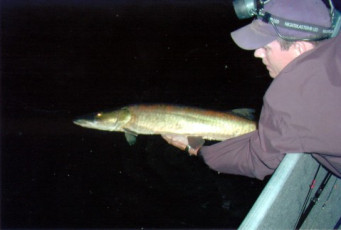 883D93D5-3914-4F92-9C68-6E5DF1F78761