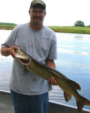 88a0870b-656b-4a6e-a26a-c87a1e23ffed