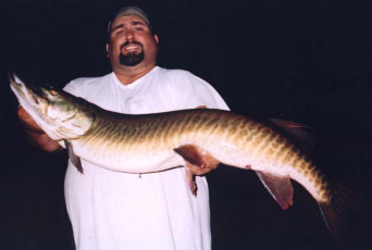 88b232ba-ae00-4b31-bebe-b33c82c04dc9