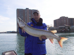 88f92c1d-be1e-4d2e-90ad-1e447de49e15