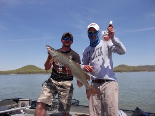 8995A0A0-4DC5-48B8-A8E8-587C2F2A5DF6