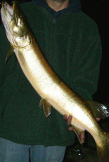 89DDDF7B-4E47-4593-8A95-816480FCA14B