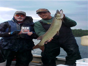 89d75133-0a3d-4ea3-893e-37166049d8eb