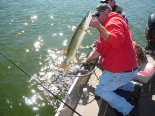 8A1BFE5F-2CA1-415E-9951-60651C41C699