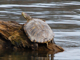 8A4C6059-0B6D-4148-83BA-89F44A87635D