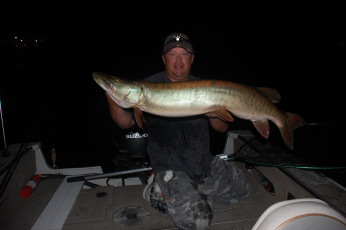 8A5CB29E-B2A0-4010-9DD3-2F615D66335C