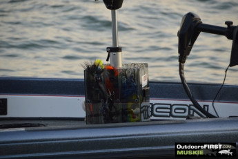 8B73BBE7-407A-43F5-A5E4-989EBE3E9268