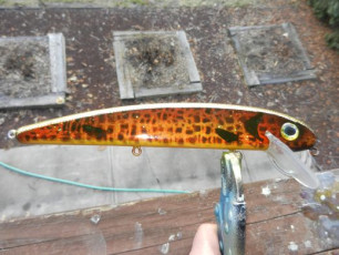 8BBED0E1-A782-4230-8BFB-5969892DF062