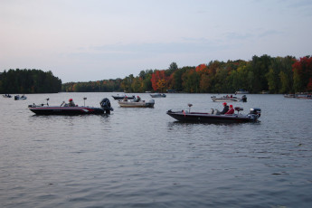 8BE16BB3-D83C-480A-B534-9CE78F790281