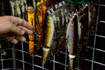 8C8BAE1C-F191-4BC8-AF95-B11E9FCED9DB