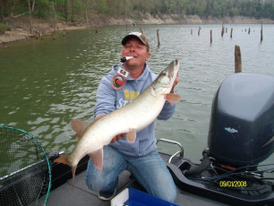 SANYO DIGITAL CAMERA