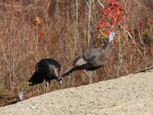 8D0A8857-3BCA-42D5-B95C-3872E8228EBC