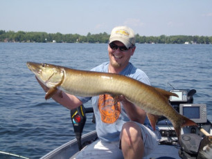 8D80ABB2-7B3B-466A-A15A-19984BBB7AC3