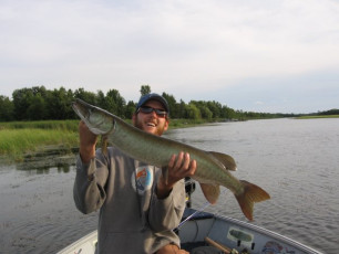 8D8F7D4F-082B-4802-A998-6EF48E46425B