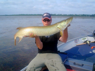 8DE9DE9F-EE6F-43A6-A0F4-470F60323E3C