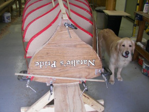 8E153DFD-7F68-45DD-8E50-4BB208E4FA90