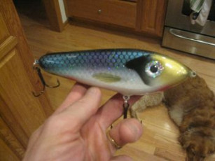 8E36CADB-3A86-485F-8B7C-F735151D93A3