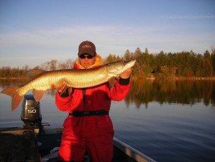 8EC92307-3EB3-462B-AB41-AFD01A6B5F85