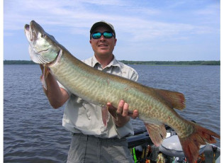 8F48EDA9-24EA-4D65-A9DF-BF2421CFE4D3