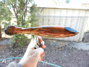 8F6CFC92-3851-48CE-941F-6890B83EC4E4