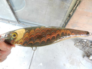 8FBE7E0C-757A-46E1-AAF7-04BB8DD84EE6