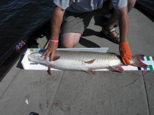 8b56ff60-62fb-41cb-9cc5-c59405b38a8a