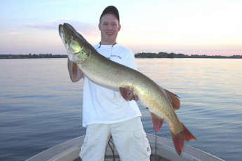 8ba98884-affd-425c-a0d6-4df98512eef3