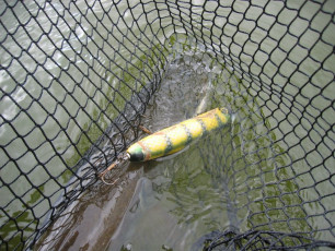 8bf0130e-fe75-481c-85df-a46c76a369ce