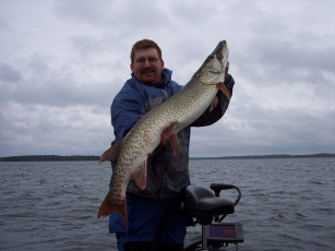 8c47f43f-4961-4fcd-933f-b20ae3097e45