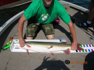 8d003676-4611-489a-b0a4-60df656fe41a