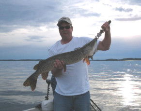 8d89d2c0-9dc6-4e22-8d09-7ea10b22565f