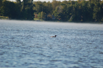 8ec05c3c-47c1-464e-a151-57795a33fc97