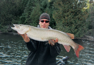 8ee045e3-ae92-4ead-b94f-b0f7e960878b