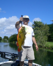 8f18af48-522f-4b24-997f-f9482684672e