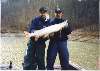 8f93979f-1628-4b26-a798-0a712f566364