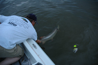 8fc873a2-0b12-48f5-b24f-538078298b51