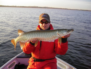 90406137-D2A0-4FA1-81A8-879159C17ACA