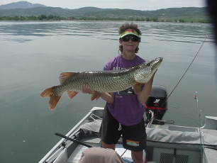 90FE5F6A-7780-41CC-AEB4-02BAA6AD8DBD