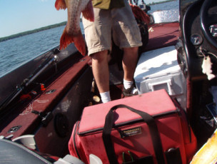 90ba4336-0dc1-4aba-9232-c6ae1bf9f35b