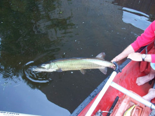 911226FD-4E24-4A71-91AE-52C376E38068