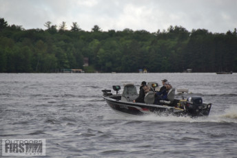 914E6F41-5841-4715-BDD7-F3CDF133F39B