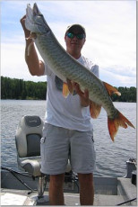 918A45F7-55BD-49B3-83F3-462AADA65E8E