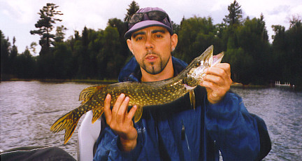 918cfdc9-8b6b-4ccf-b6ae-a756ee7f2a1a