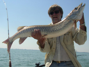 91eb1a9d-3de5-40ef-9f53-657a0e66d4c8