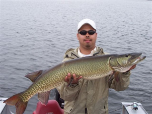 92605f69-f184-4f52-afec-7a148bc014b0