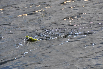 9270DEC0-8004-429A-A660-75F877037421