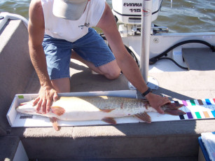 928894a6-ec83-464f-abc6-e0d82430c4b9