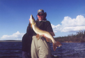 92ef5ae9-97dd-461f-9e0a-a6c8bd9cbc2e